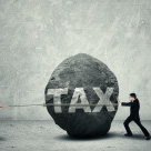 Why the IRS Goes After the “Minnows” and Ignores the “Whales”